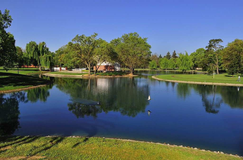 Cooling Off in Elk Grove: A Water Park Adventure for Every Family