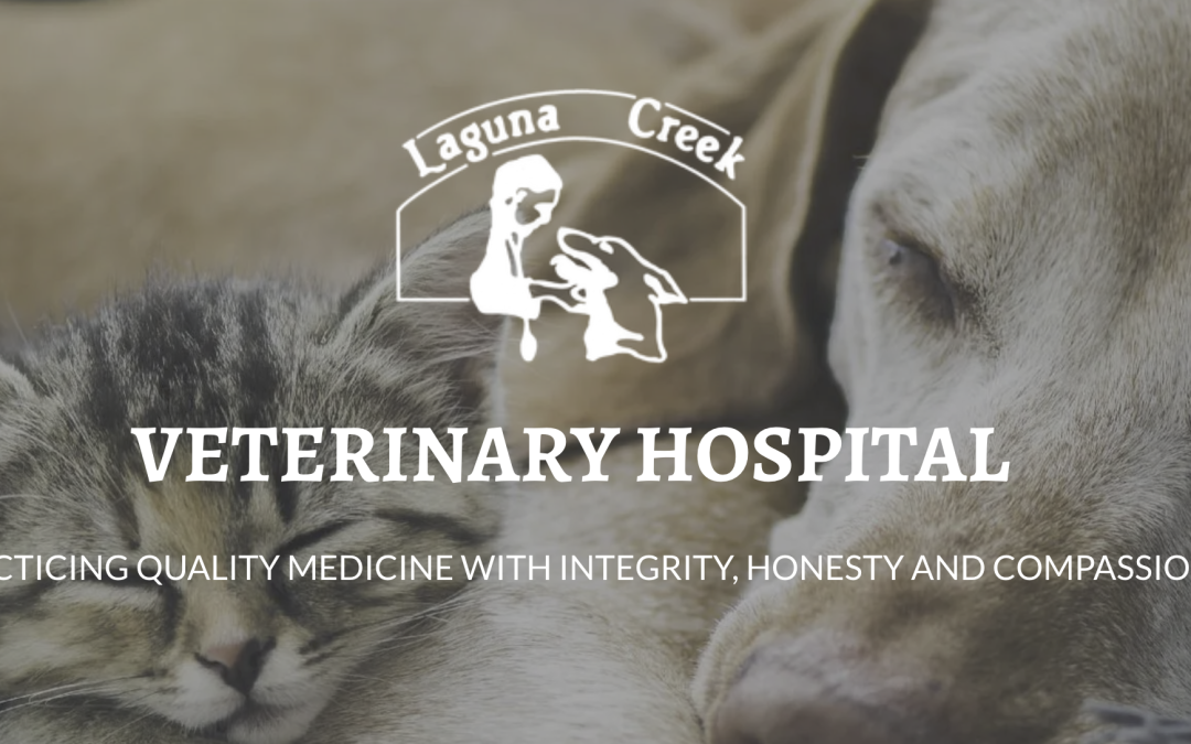 Laguna Creek Veterinary Hospital: Quality Care for Your Furry Family Members