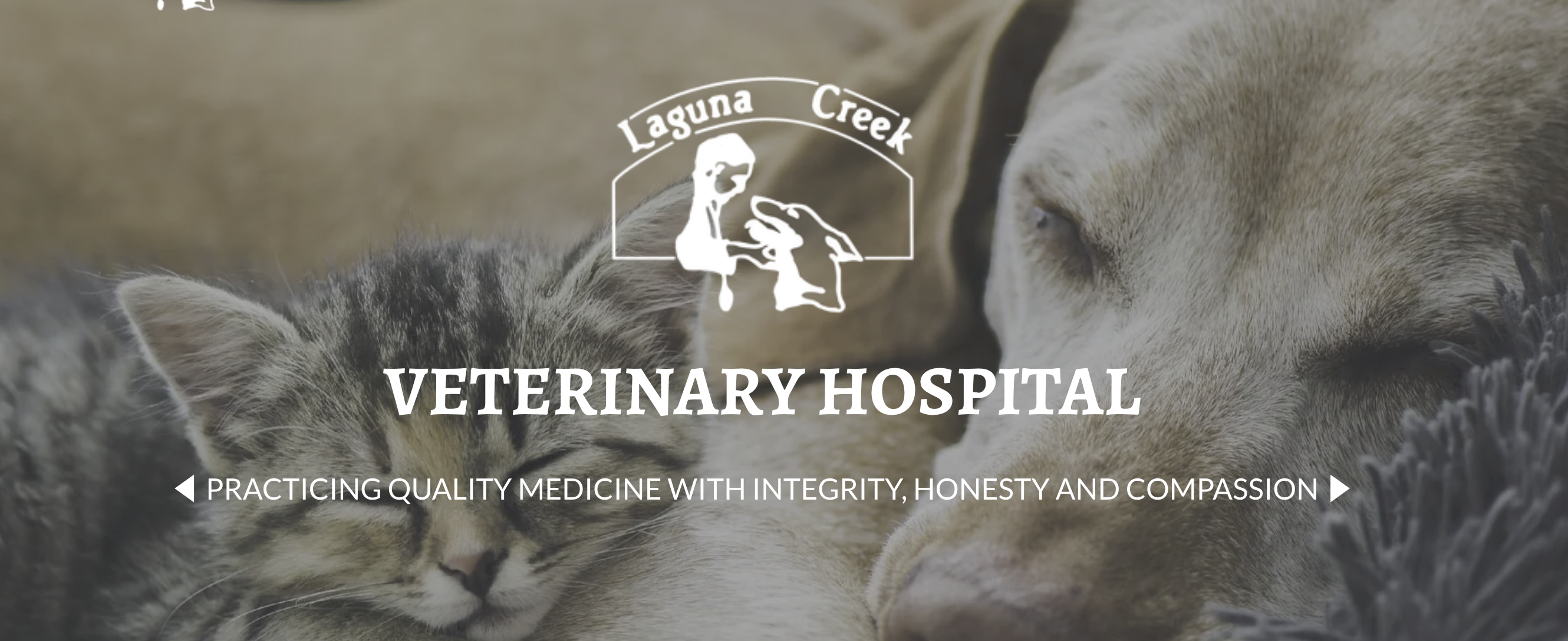 Animal Hospital in Elk Grove, California