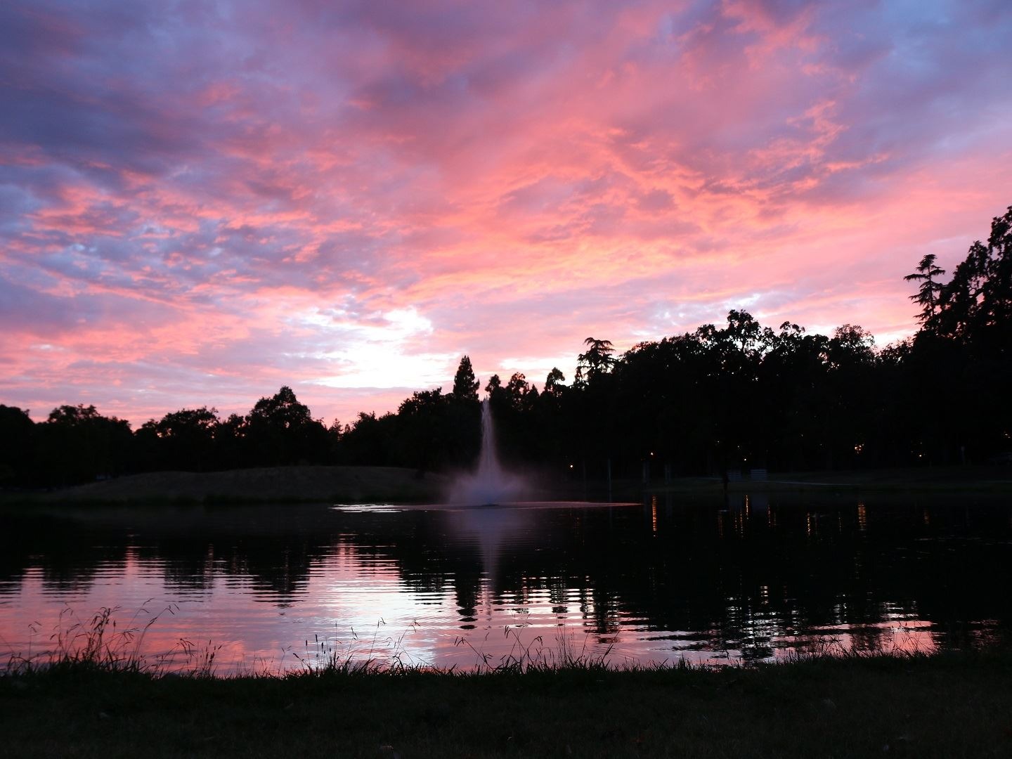 Elk Grove Park: A Fall Photographer's Paradise in 2024