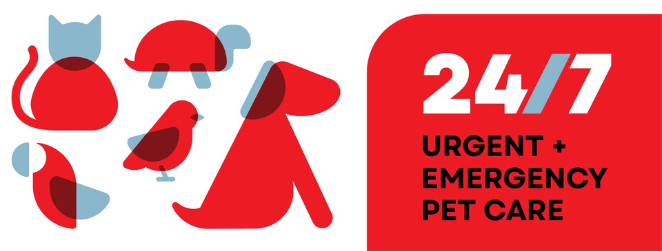The Place Where Pet Emergencies Meet Their Match: Veterinary Emergency Group in Elk Grove