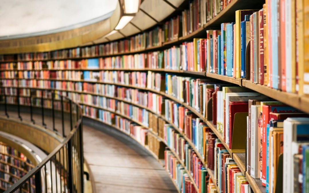 A Seat at the Table Books: Elk Grove’s Cozy Corner for Readers, Coffee Lovers, and Community