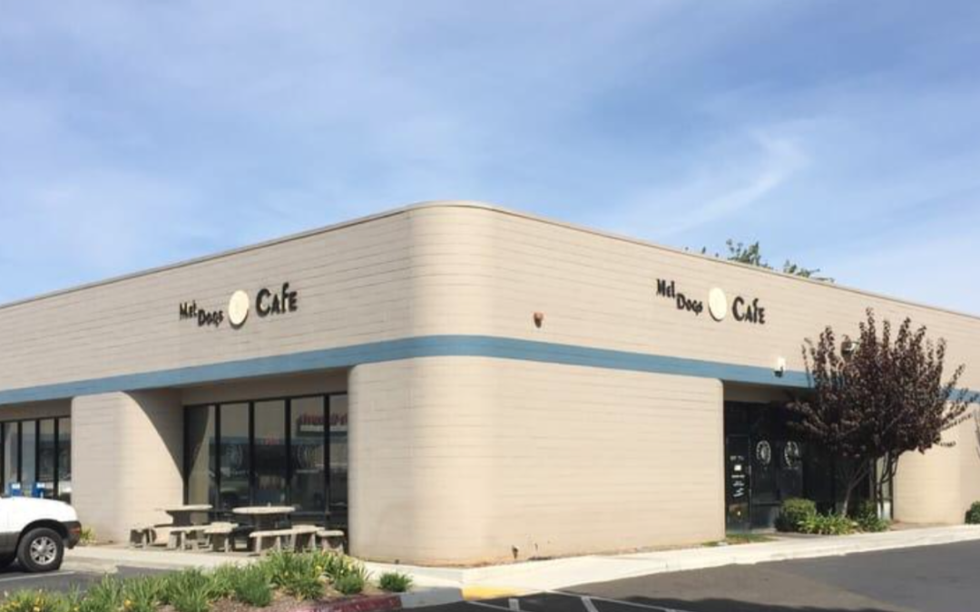 A Morning to Remember at Mel Dog’s Cafe: Breakfast Plus